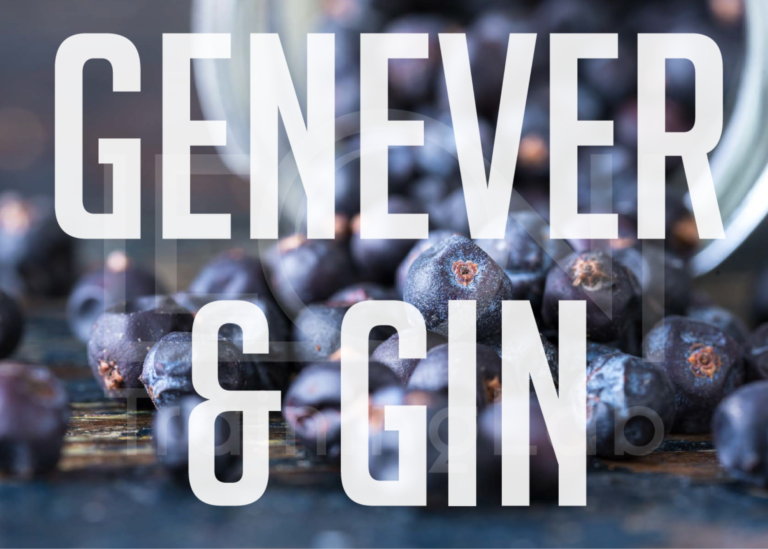 Grafica del corso Gin Lab di Leoni Group su gin e genever
