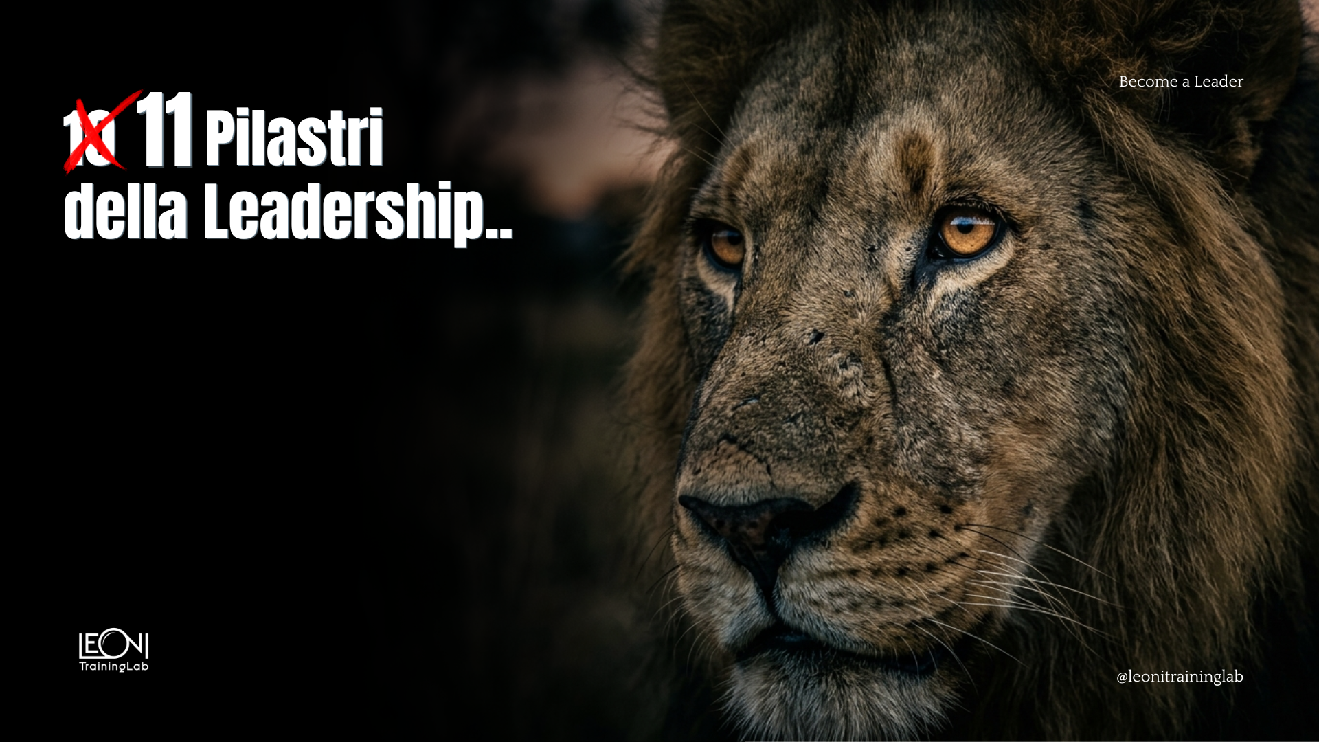 Corso Leadership Operativa